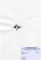 藏品(臺灣松藻)的圖片